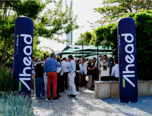 Img Box Cultura Mindset