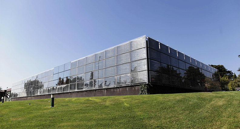 Cards Destaque Desktop Orgaos Sociais