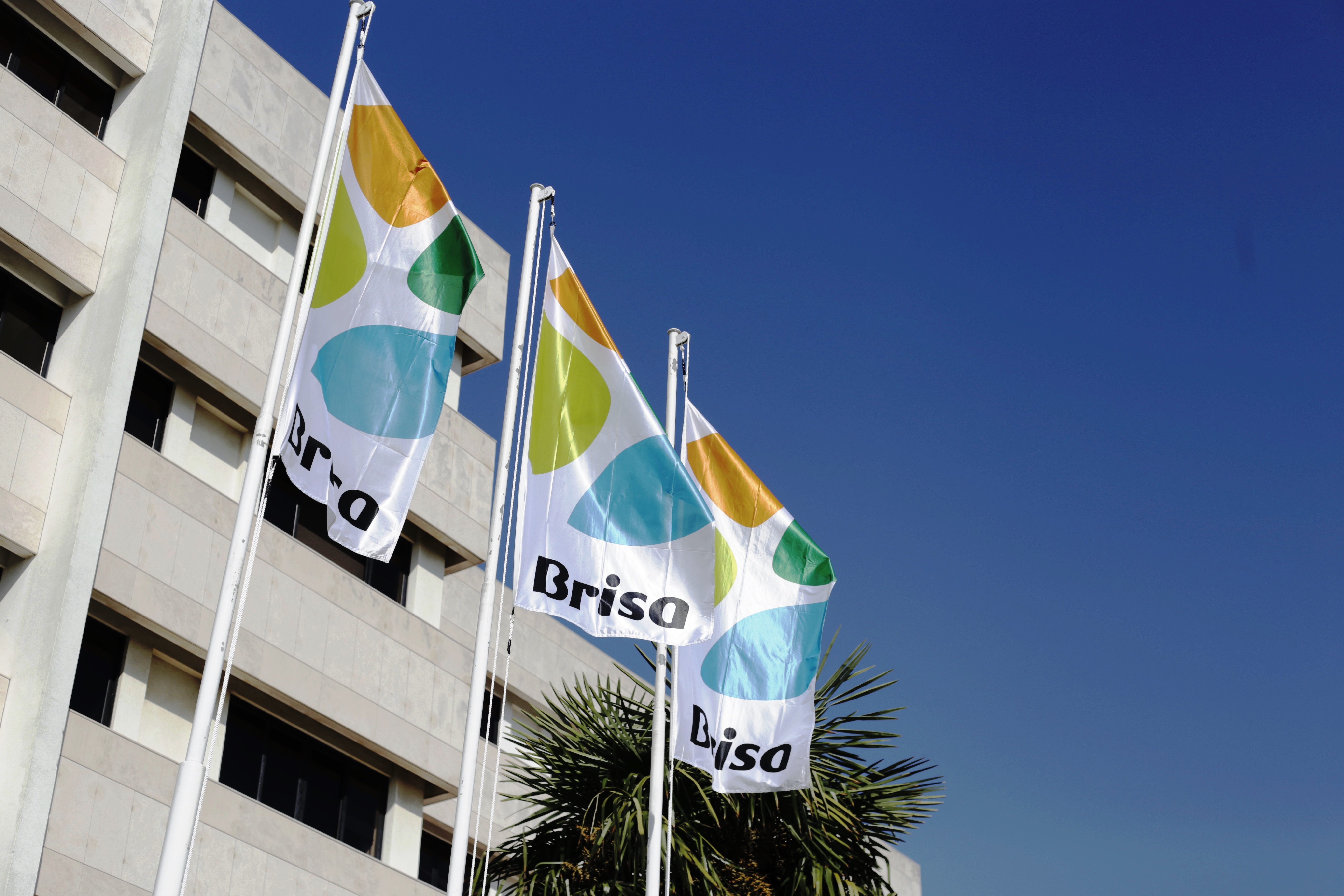 Investidores Governo Sociedade Assembleia Geral